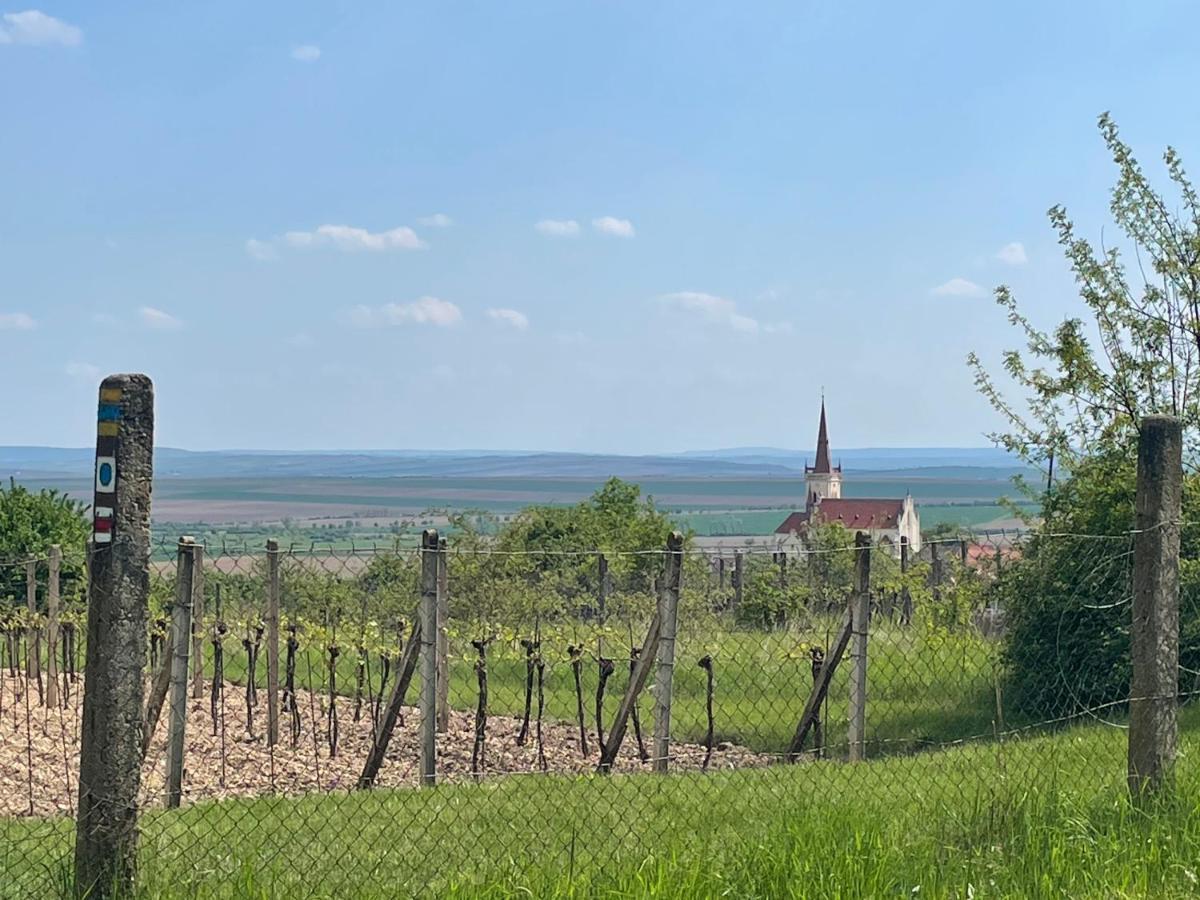 Apartmán U Březinů Znojmo Esterno foto