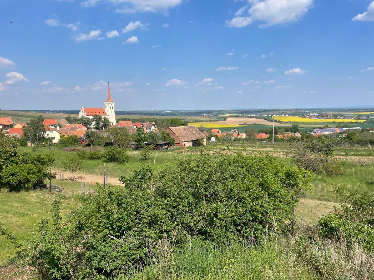 Apartmán U Březinů Znojmo Esterno foto